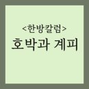 소사도원한의원 | [한방 칼럼] 붓기 빼는 호박즙이 동의보감에 없다? 우리가 몰랐던 약재의 두 얼굴
