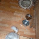 와와커피 이미지