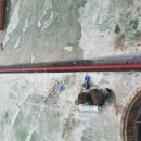 백석주유소 이미지