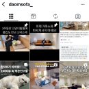 다옴(daom) 네이버블로그