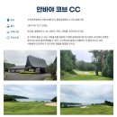 고고골프 이미지