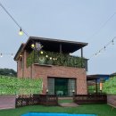 위드독애견스파풀빌라 이미지