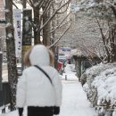 설마 이미지
