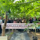 당진시농업기술센터 중부지소 네이버블로그