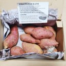 진세농원 | 채소 맛집 | 꿀고구마 진세농원 | 간식