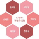 편집증 [ Paranoia] 이미지