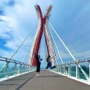 해사랑식당 | 남해 설리해수욕장 근처 맛집 해사랑전복마을 치즈전복구이 &amp; 전복죽 생생후기