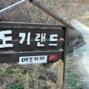 딸기네 민박 | (애견카페) 영천 도기랜드★