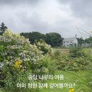송당팜 이미지