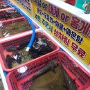 칠포생선
