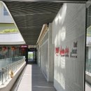 세종 | [세종] 마키노차야 세종점 내돈내산후기
