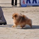 이천공설운동장 이미지