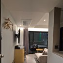 브라운도트 진하해수욕장점 이미지