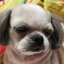 행복드림약국 이미지