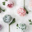 미뇽스토어 이미지