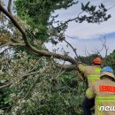 강정동-54 이미지