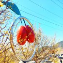 상위마을 입구 이미지