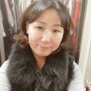 알바트로스인셀덤