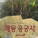 해동택시(주) | 해동용궁사 소원 빌기 명소 부산 기장 가볼만한 곳 주말 방문 후기
