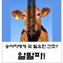 주식회사 하농 이미지