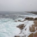 만해마을위 이미지