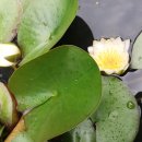 안동농원 이미지