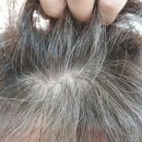 [부산] 화명동 머리 잘 만지는 미용실 &#34;더 트라움 헤어, the TRAUM hair&#34; 남자 염색 후기