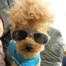 여기커피(HERE COFFEE) 이미지