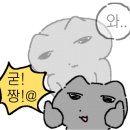 도도춘천닭갈비 이미지