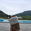 우다다애견펜션 | 가평애견동반펜션 강아지 반려견 우다다펜션 내돈내산