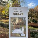 은행나무어린이공원화장실 | 인천 원적산공원 단풍 11월 현황 은행나무 숲길 즐기기