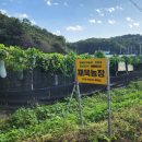 재욱농장 이미지