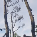 사량파출소 이미지