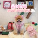 하루산책 | 눈오는날 강아지 산책룩 추천 유어하루 눈오는 트위드 판초 착용 후기