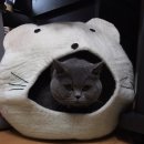 숨숨집 이미지