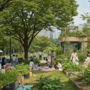 지속 가능한 초록 지구 지키기 프로젝트 | 🌳🏙️ 도시 속 녹지, 우리의 푸른 공간 지키기