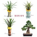 혜인산부인과의원 이미지