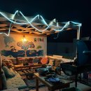 고대110 | 요르단🇯🇴 | 와디무사(Wadi Musa) | 다합에서 페트라 당일치기•울프 사파리 투어 | Day109•110