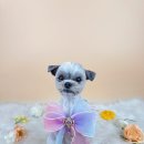 사르르몽몽 이미지