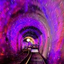 김유정로 | 2603 춘천 김유정 레일바이크 : 존나 재밌음 강추