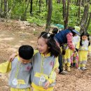 성산 유아숲체험원 이미지