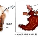 한마음내과 네이버블로그