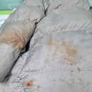 오포세탁소 이미지