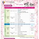 남목3동주민센터 | [울산벚꽃]쇠평어린이공원 벚꽃축제