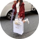 [DIOR] 디올 뚜주흐 스몰 버티컬 토트백 리뷰 / 가격, 착용샷, 이너백추천 / 양품, 웨이팅 구매 후기👜✨