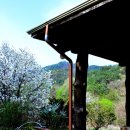 동아실황토펜션 이미지