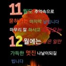 11월의비상