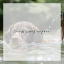 수묵화(심화) 이미지