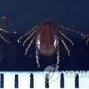 동일프라자약국 이미지