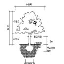 식재 근원직경 실무자님들 생각은 어떠십니까? 이미지